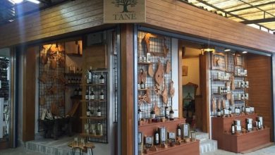 Tane Zeytinyağı, Şirince - MegaPlus Dergisi 33. Sayı