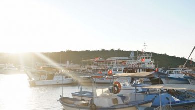 Sığacık, Seferihisar, İzmir, Gezilecek Yerler, Megaplus Dergisi 34. Sayı Haziran 2019