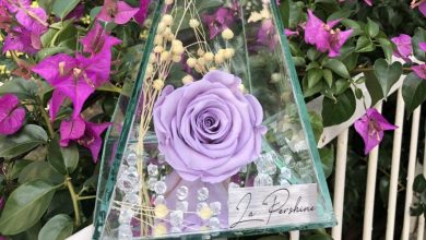 La Pershine, Solmayan güller, megaplus dergisi 39. sayı